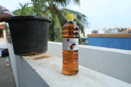 SESAME OIL (1L)